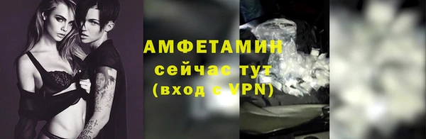 твердый Богородицк