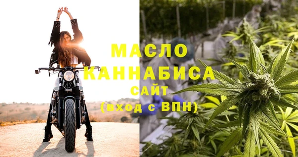 твердый Богородицк